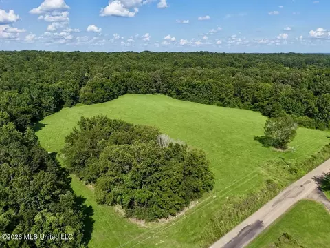 006 Monticello Rd, Wesson, MS 39191 photo 5
