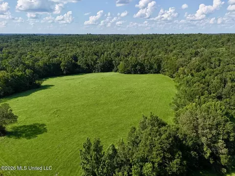 006 Monticello Rd, Wesson, MS 39191 photo 2