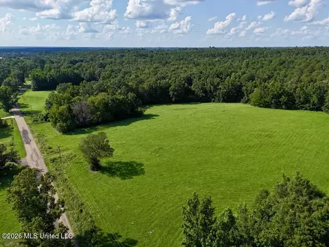 006 Monticello Rd, Wesson, MS 39191 photo 14