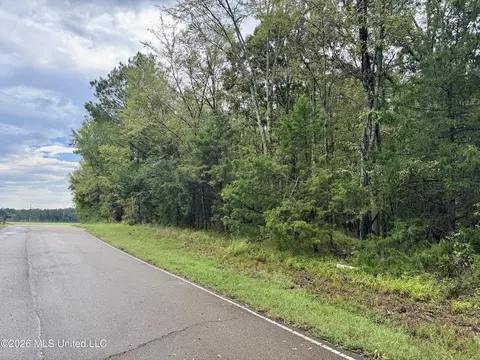 0001 Tithelo Rd, Canton, MS 39046 photo 2