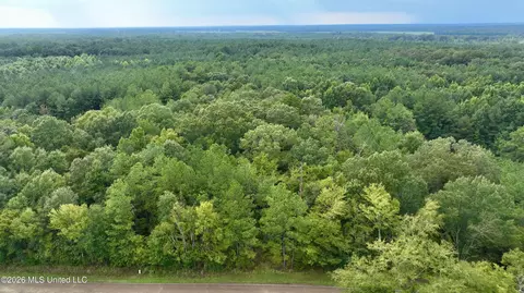 0001 Tithelo Rd, Canton, MS 39046 photo 13