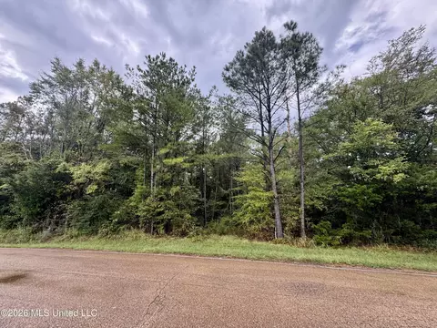 0001 Tithelo Rd, Canton, MS 39046 photo 8