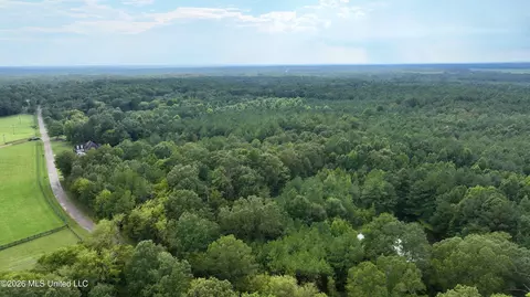 0001 Tithelo Rd, Canton, MS 39046 photo 9