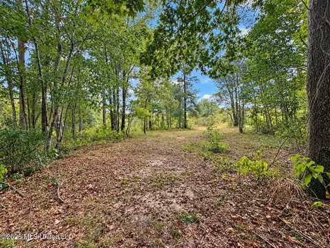 Other - 143 Pre Eddy Rd # A, Lucedale, MS 39452 photo 4 of 5