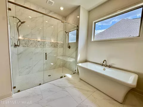 Bath - 324 Oakworth Dr, Hernando, MS 38632 photo 3 of 14