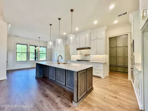 Kitchen - 324 Oakworth Dr, Hernando, MS 38632 photo 2 of 8