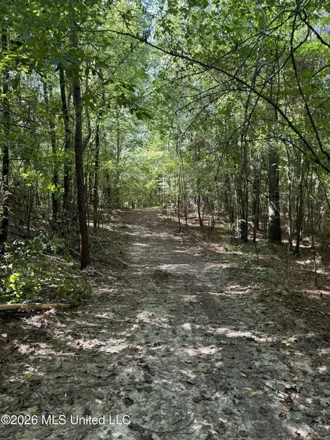 Ratliff Ferry Road, Canton, MS 39046 photo 5