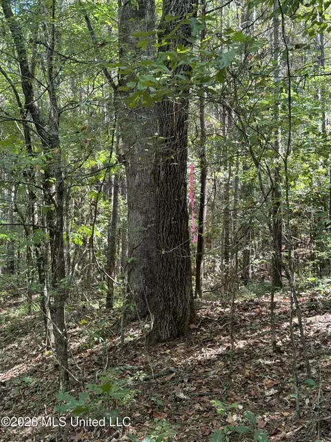 Ratliff Ferry Road, Canton, MS 39046 photo 4