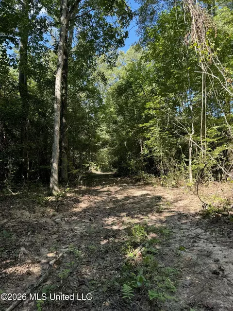 Ratliff Ferry Road, Canton, MS 39046 photo 7