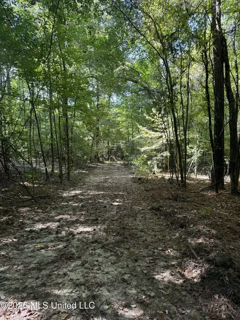 Ratliff Ferry Road, Canton, MS 39046 photo 6