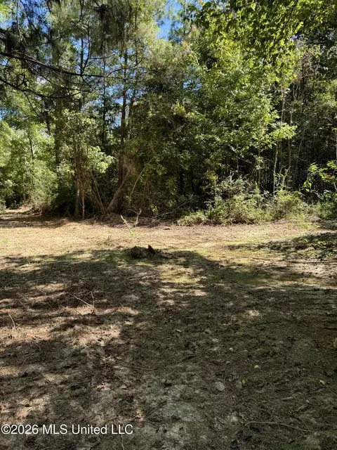 Ratliff Ferry Road, Canton, MS 39046 photo 8