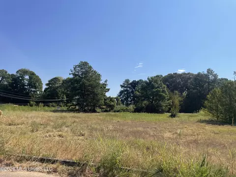 577 Starlanding, Hernando, MS 38632 photo 4