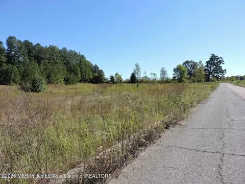 577 Starlanding, Hernando, MS 38632 photo 2