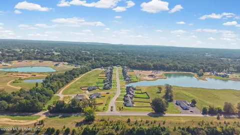 View/Area - 2255 Livingston Way, Hernando, MS 38632 photo 1 of 8