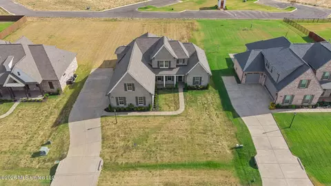 View/Area - 2255 Livingston Way, Hernando, MS 38632 photo 3 of 8