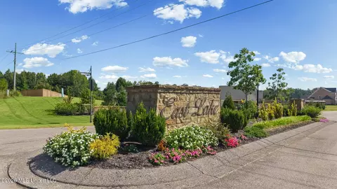 Other - 2255 Livingston Way, Hernando, MS 38632 photo 10 of 10