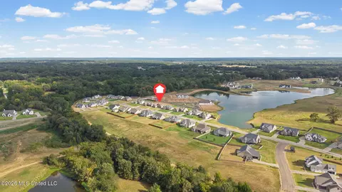 View/Area - 2255 Livingston Way, Hernando, MS 38632 photo 8 of 8