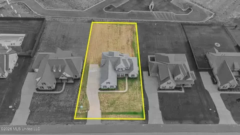 View/Area - 2255 Livingston Way, Hernando, MS 38632 photo 2 of 8