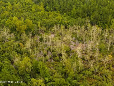 Lawrence Hazel Road, Lawrence, MS 39336 photo 3