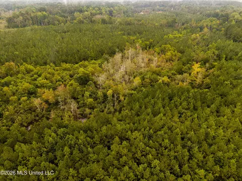 Lawrence Hazel Road, Lawrence, MS 39336 photo 11