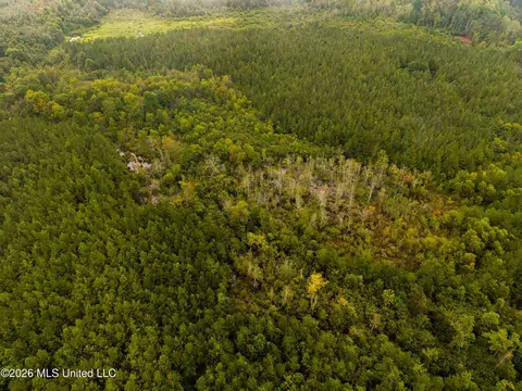 Lawrence Hazel Road, Lawrence, MS 39336 photo 2