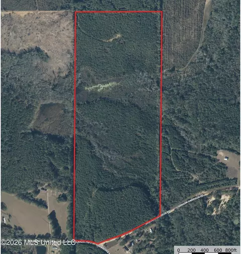 Lawrence Hazel Road, Lawrence, MS 39336 photo 10