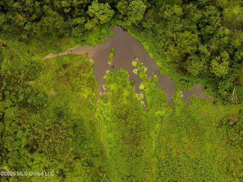 Lawrence Hazel Road, Lawrence, MS 39336 photo 6