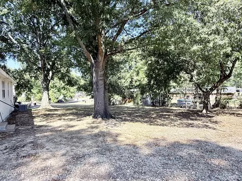 Exterior - 262 Sweetbriar Ave, Hernando, MS 38632 photo 3 of 4