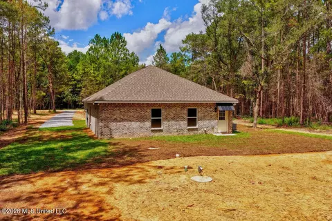 Exterior - 20 Global Ln, Picayune, MS 39466 photo 3 of 3