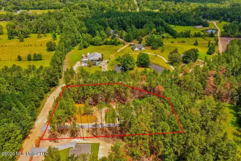 View/Area - 20 Global Ln, Picayune, MS 39466 photo 3 of 4