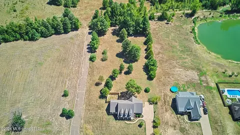 View/Area - 2690 Rodeo Way, Nesbit, MS 38651 photo 3 of 3