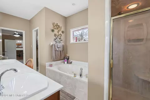 Bath - 1601 Holly Springs Rd #R, Hernando, MS 38632 photo 2 of 6
