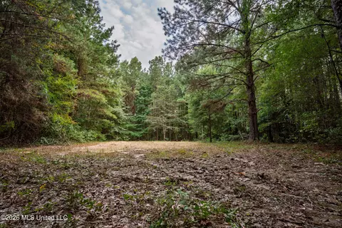 483 D Williams Rd, Morton, MS 39117 photo 22