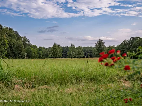 483 D Williams Rd, Morton, MS 39117 photo 6