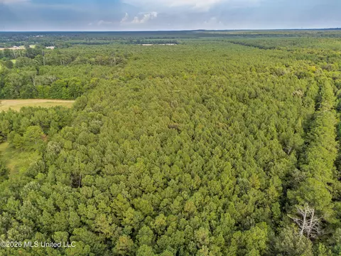 483 D Williams Rd, Morton, MS 39117 photo 34