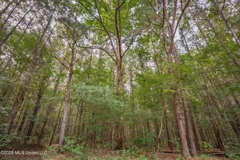 483 D Williams Rd, Morton, MS 39117 photo 23