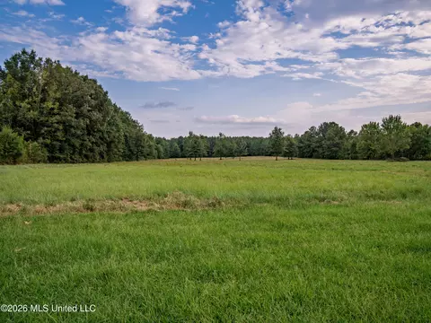 483 D Williams Rd, Morton, MS 39117 photo 5