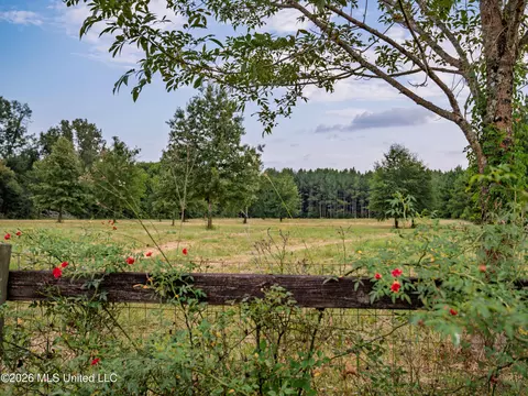 483 D Williams Rd, Morton, MS 39117 photo 11