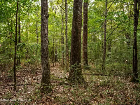 483 D Williams Rd, Morton, MS 39117 photo 19