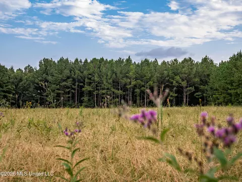 483 D Williams Rd, Morton, MS 39117 photo 14