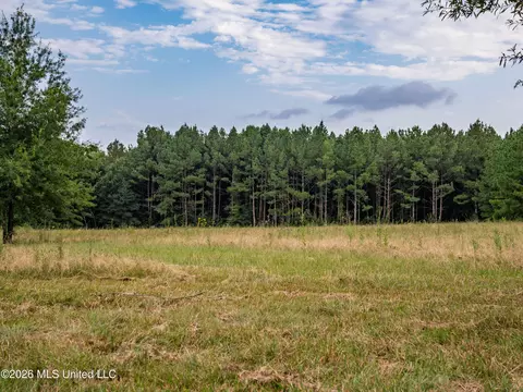 483 D Williams Rd, Morton, MS 39117 photo 13