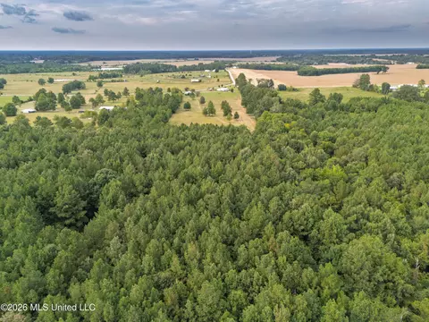 483 D Williams Rd, Morton, MS 39117 photo 36