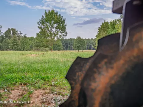 483 D Williams Rd, Morton, MS 39117 photo 9
