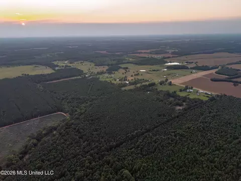 483 D Williams Rd, Morton, MS 39117 photo 42