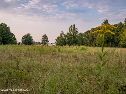 483 D Williams Rd, Morton, MS 39117 photo 21