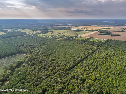 483 D Williams Rd, Morton, MS 39117 photo 31