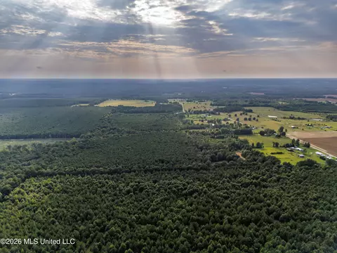 483 D Williams Rd, Morton, MS 39117 photo 29