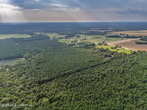 483 D Williams Rd, Morton, MS 39117 photo 30