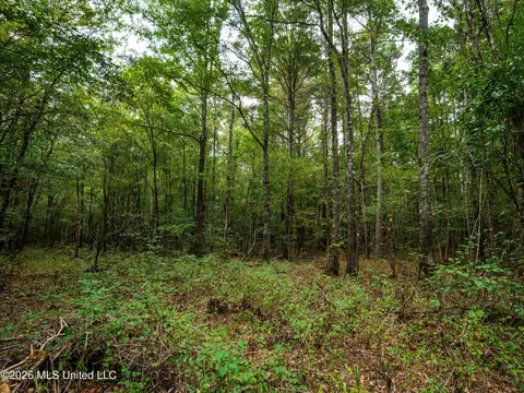 483 D Williams Rd, Morton, MS 39117 photo 17