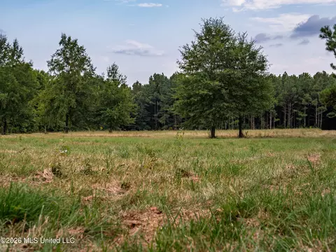 483 D Williams Rd, Morton, MS 39117 photo 12